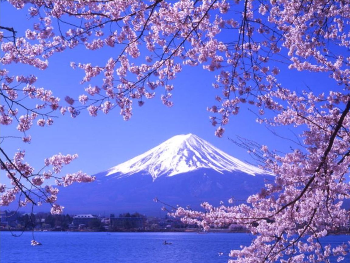 干货注册日本公司的流程及注意事项