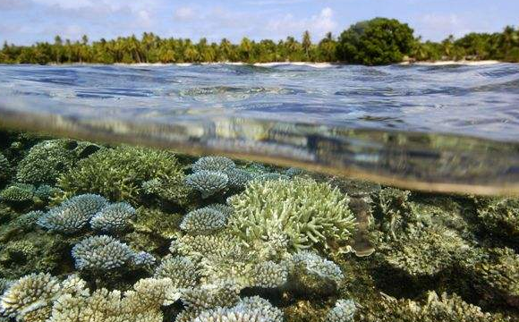 马绍尔公司注册的流程详细