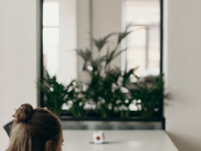 巴西市场展望：中国卖家如何应对巴西公司注册及把握2026年贸易机遇