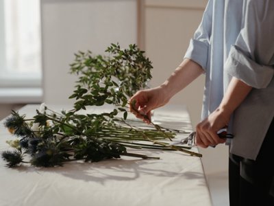 2025年：美国公司远程注册全流程指南：政策、流程、类型选择与价值解析