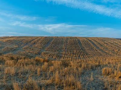 汇丰银行流水怎么查询？有哪几种方法？